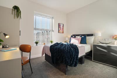 Last Room Remaining - Designer Suite Rooms  Main Photo