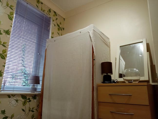 Single room in harmonious zen household Main Photo