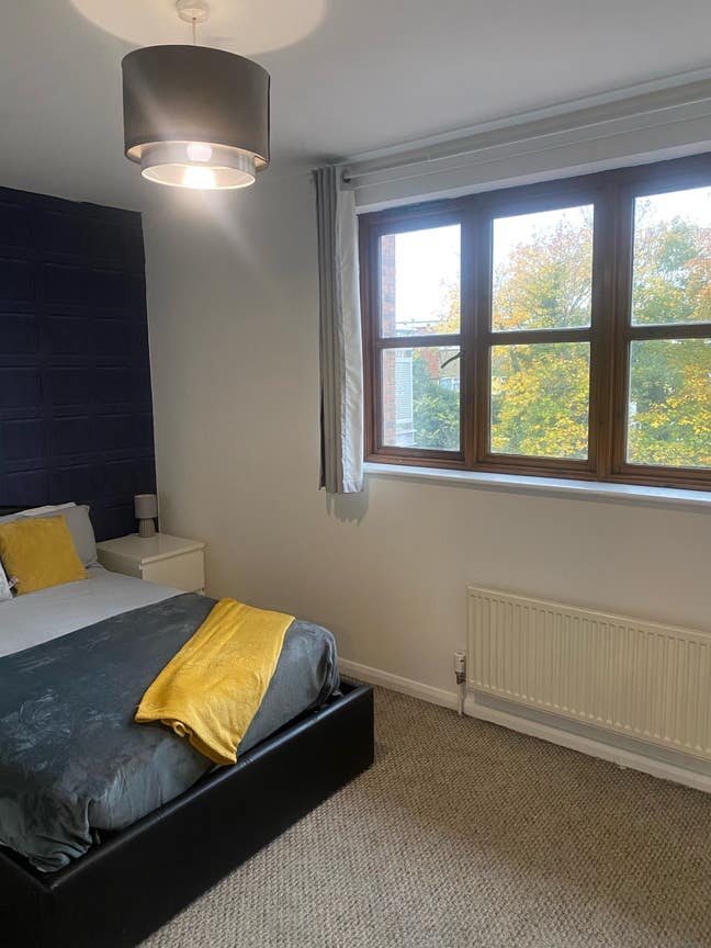 Newly Renovated! All Bills Included spacious rooms Main Photo