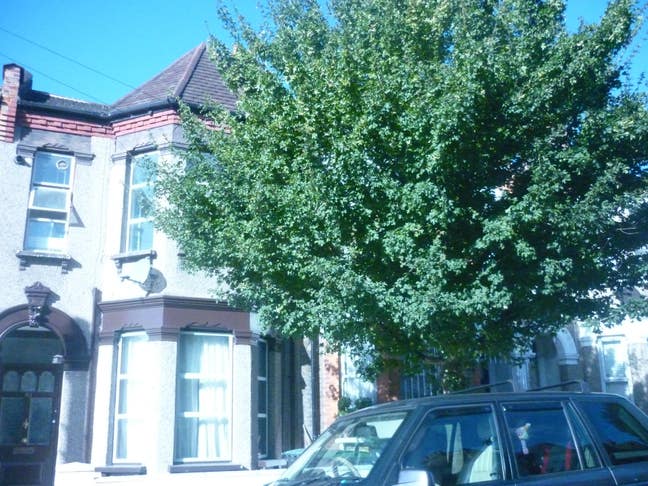Nice spacious 2-3 bed flat  Main Photo