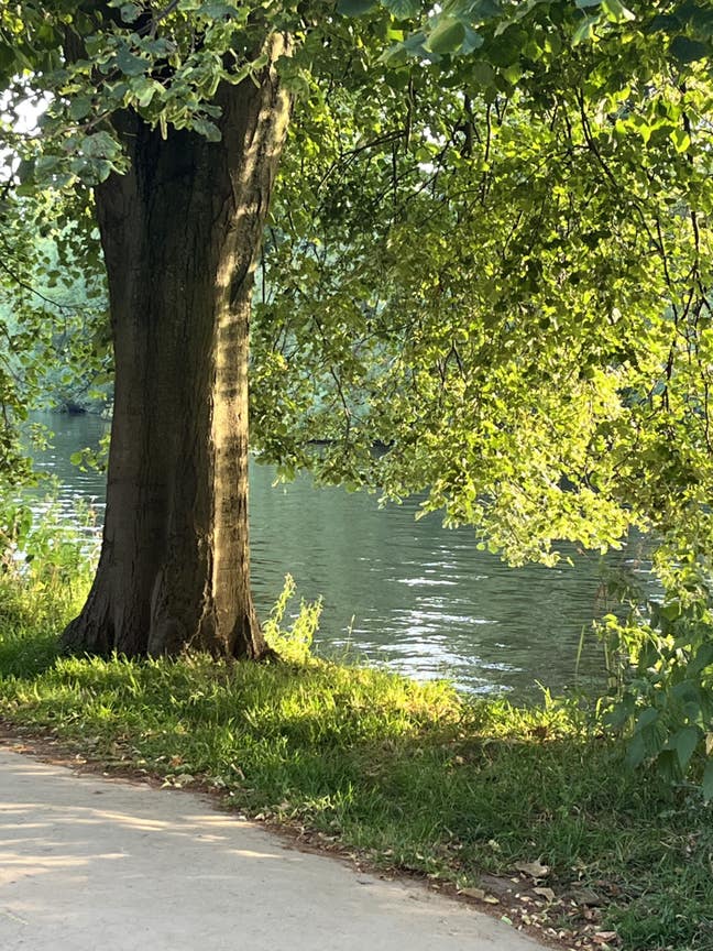 Double and Single room; postgraduate Main Photo