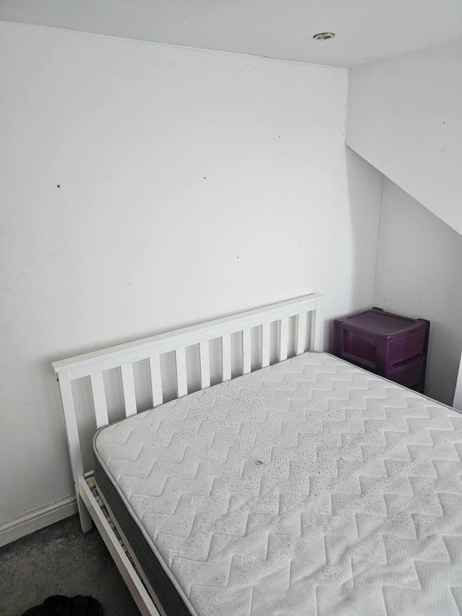 Single room for rent Main Photo