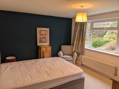 Lodger for lovely detached house/garden in Weston Main Photo