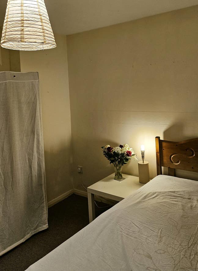 Female Housemate Wanted   Main Photo