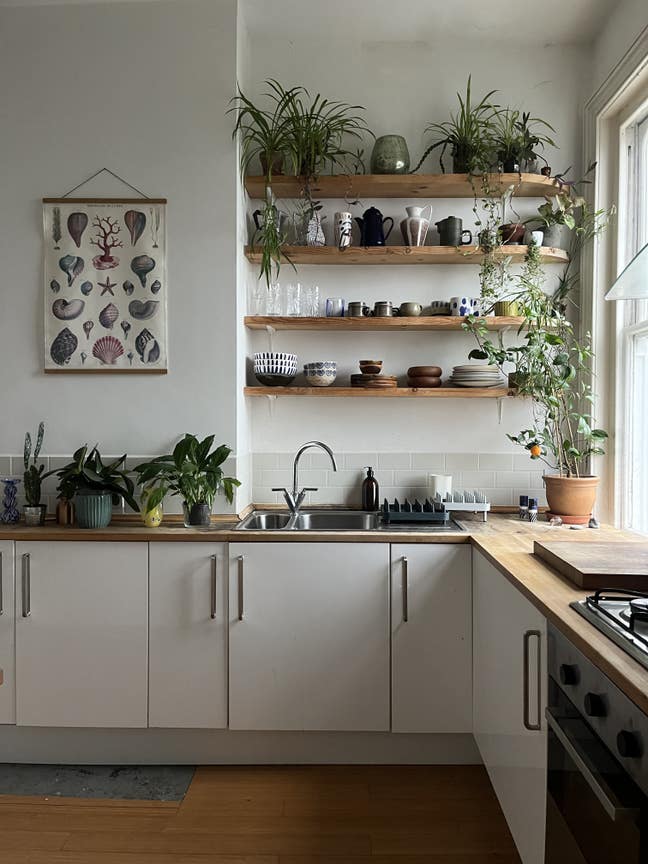 Large bedroom in gorgeous centralSt Leonard’s flat Main Photo