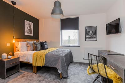 💥Amazing House Share 💥 One Room Left Main Photo