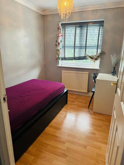  One  bedroom  available  for  Rent  in  SN5 Main Photo