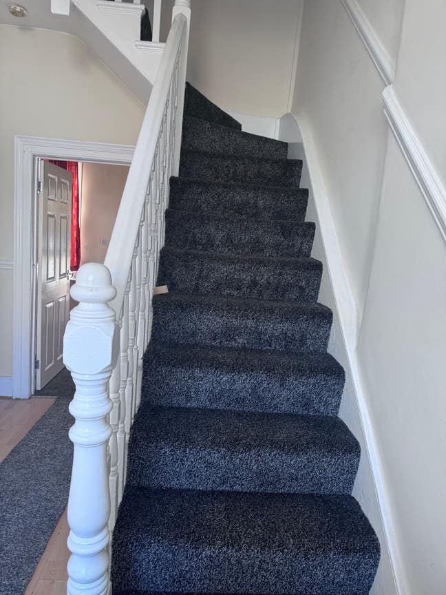 Room Available  Main Photo