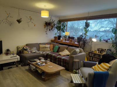 Cheap + Spacious Double Room in Fully Vegan House Main Photo