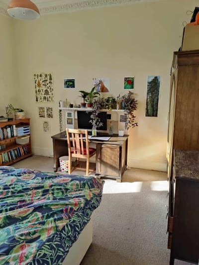 Short sublet available 2-3 weeks Main Photo