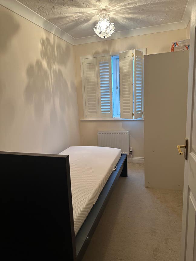 Very nice and tidy single room for rent available  Main Photo