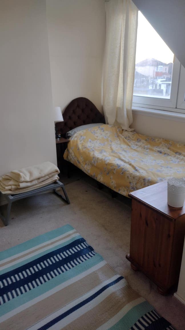 Single room in exchange for dog-sitting Main Photo