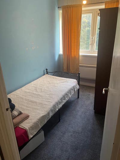 Single room available  Main Photo