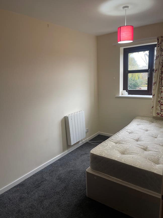 Flatmate Wanted: Shared Room in a Cozy Apartment Main Photo