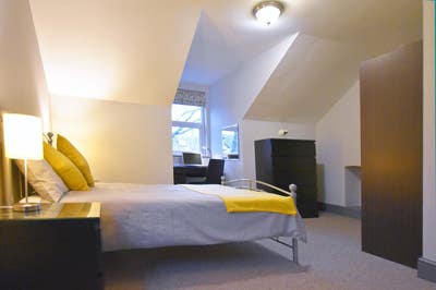 More Than Just a Room! Main Photo