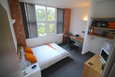 1 Bed Available in July Main Photo
