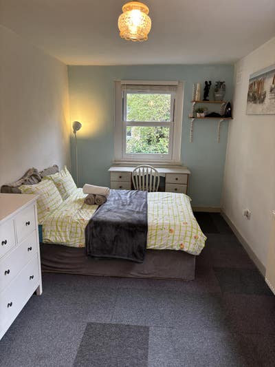 Large Room with Garden Views in Stoke Newington Main Photo