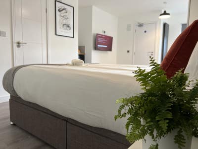 Stunning Brand New 6-Bedroom All-Ensuite  Main Photo