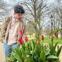 Short term let sought for summer!  Main Photo