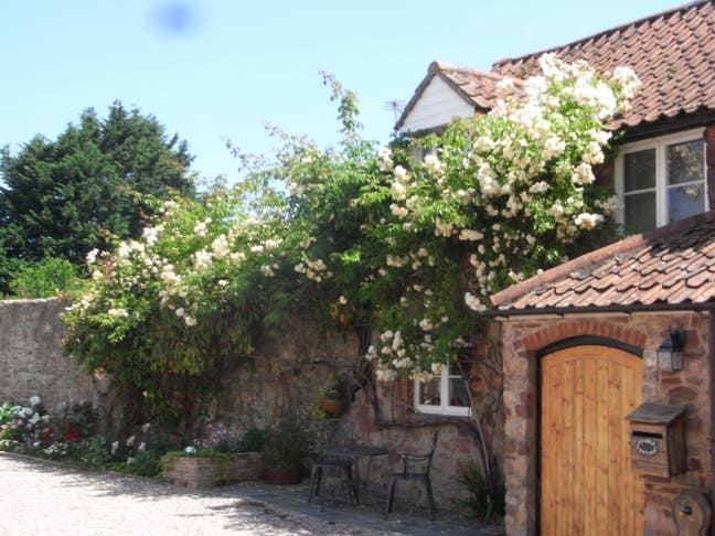 Self contained cottage Main Photo