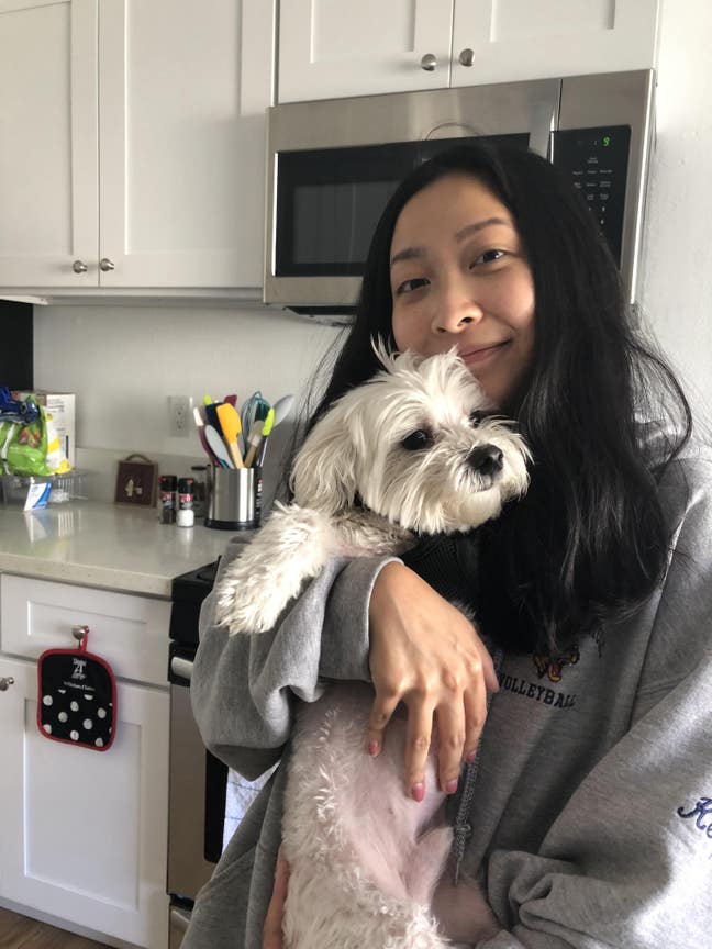 Short term rental wanted Main Photo