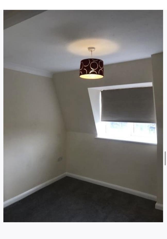 Room to rent  Main Photo