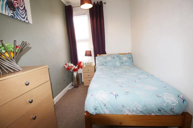 Furnished single bed with high speed internet Main Photo