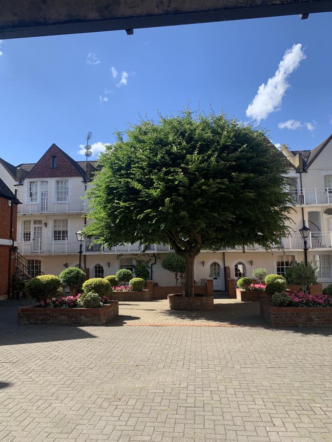 Magical Chelsea Short/Long Let Available December  Main Photo