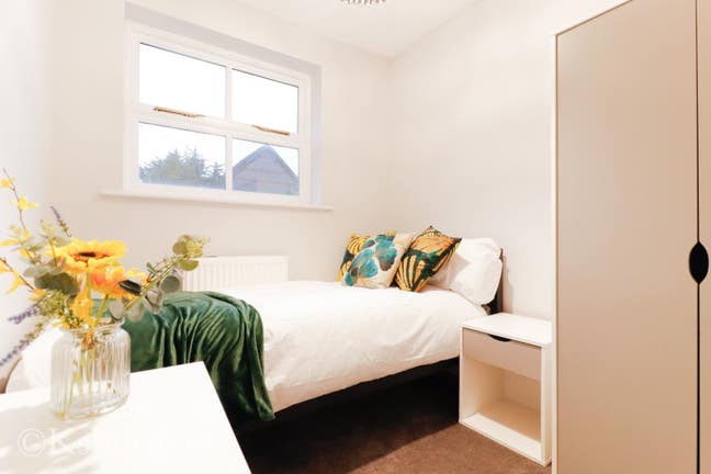 Perfect SIngle bedroom Main Photo