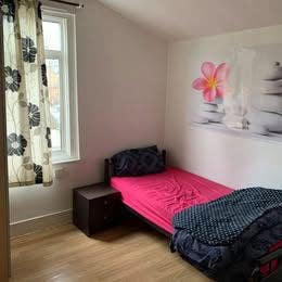 Newly Refurbished Meduim Size  Room  Main Photo