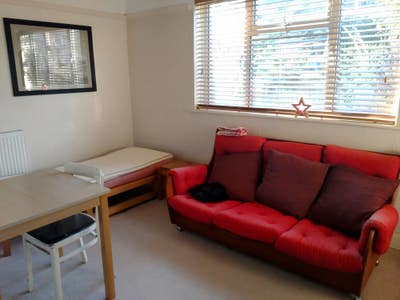 Bright sunny double room, quiet house with cats Main Photo