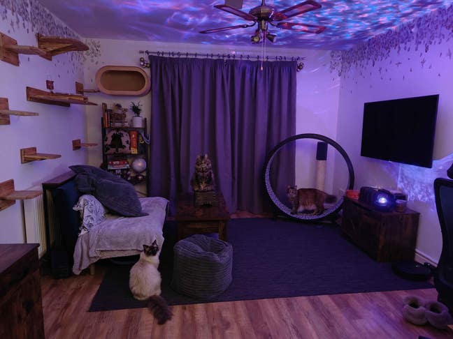 King size double room to rent in Abbey Manor Main Photo