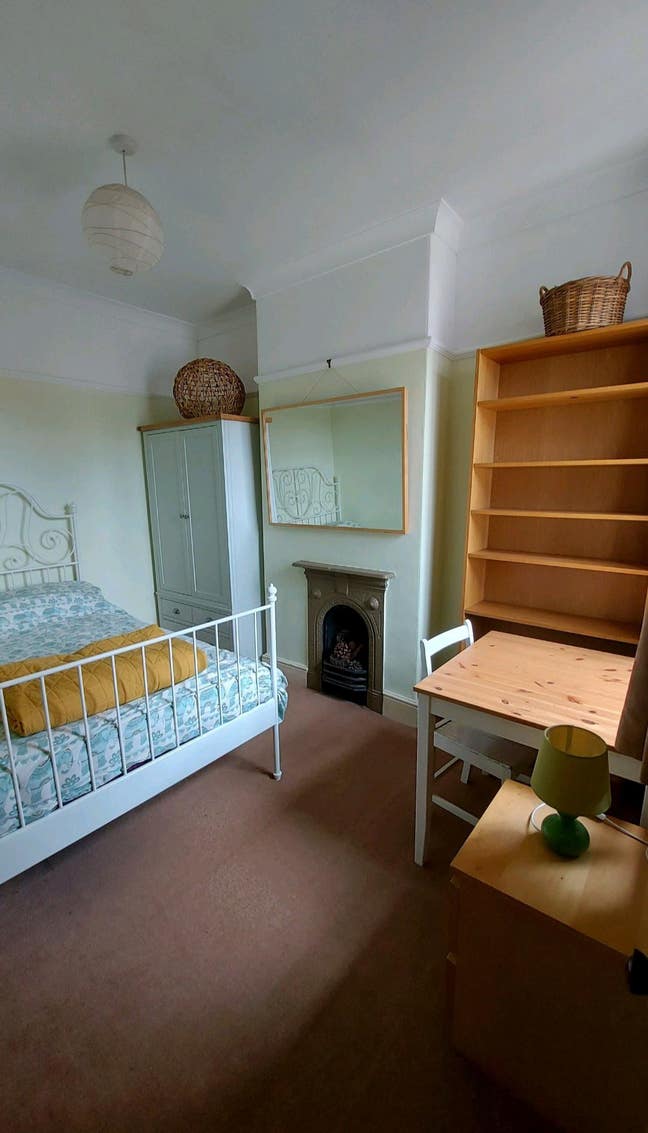 Peaceful Vegan Home with Pets – Lodger Wanted Main Photo