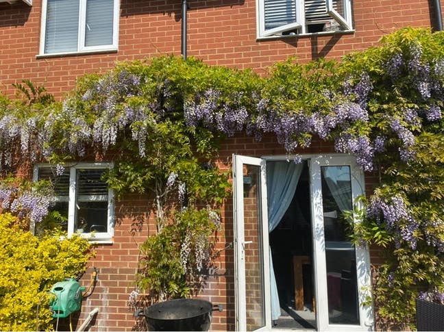 1 Single room  Main Photo