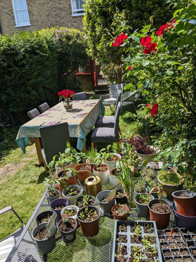 Cosy room in lovely family home; only a short walk Main Photo