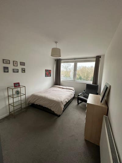 A Room So Good Even Your Dad Would Approve Main Photo