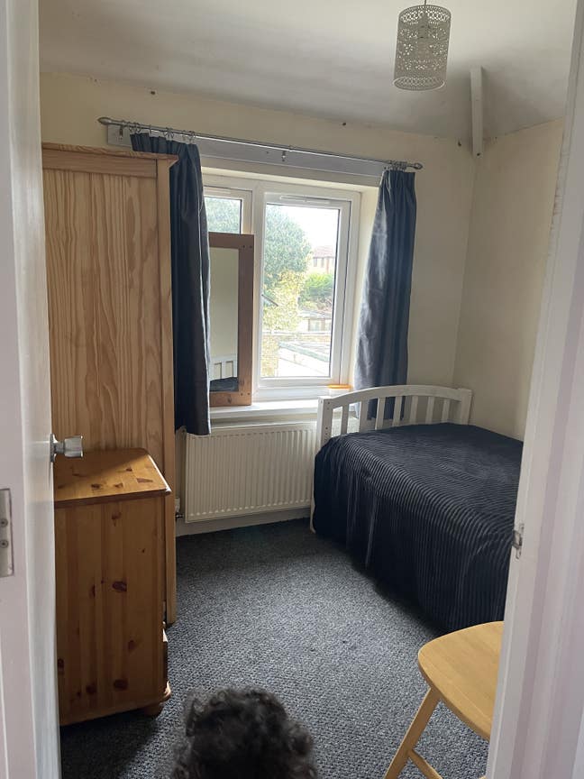 Single room available for professional  Main Photo