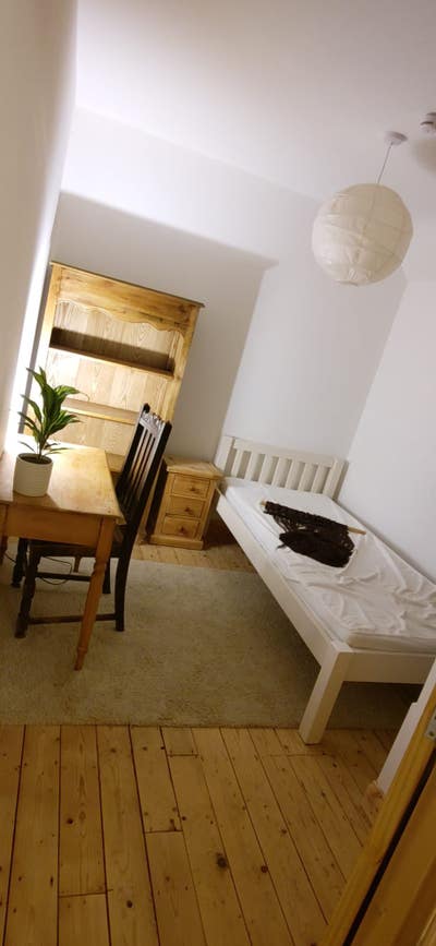 Cost single room with forest view in veggie home Main Photo