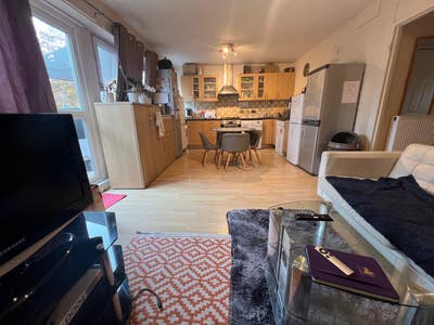 Cosy Twin / double room available in a garden flat Main Photo
