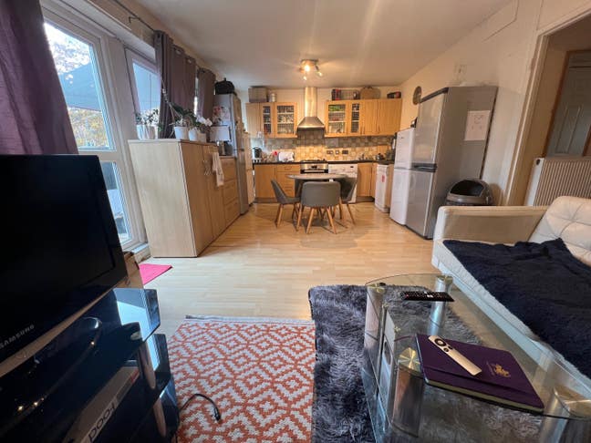 Cosy Twin / double room available in a garden flat Main Photo