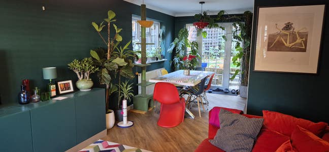 Single room for professional or student Main Photo