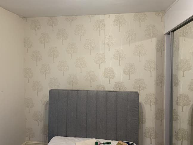 Double or Single room available  Main Photo