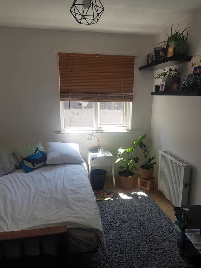 Double Room in Leafy Dartington Main Photo
