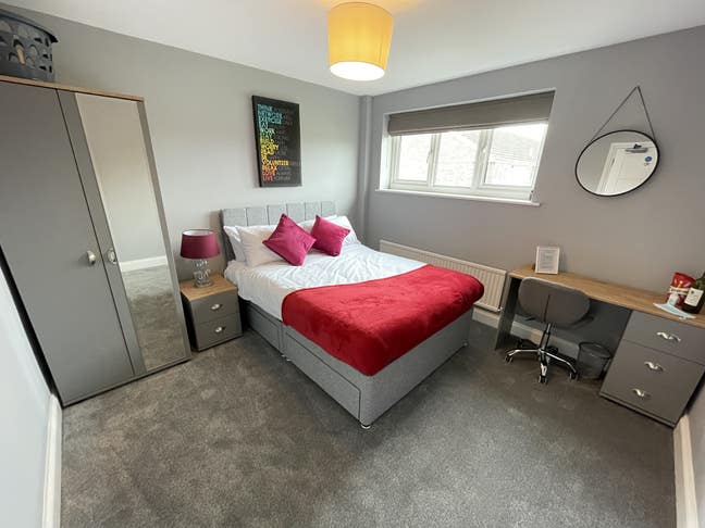 Professional HMO Main Photo