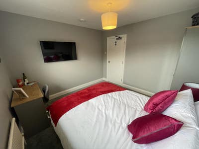 Professional HMO Main Photo