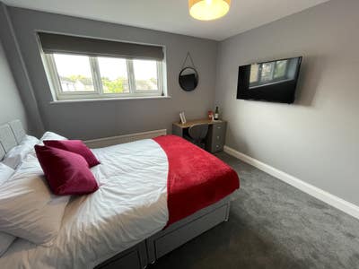 Professional HMO Main Photo