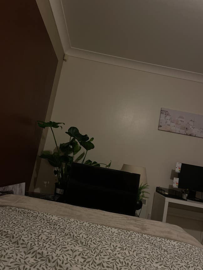 1 Rooms available  Main Photo