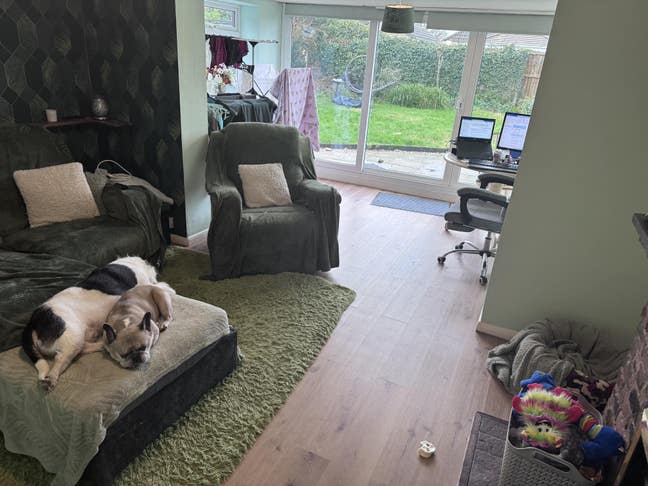 Friendly house share  Main Photo
