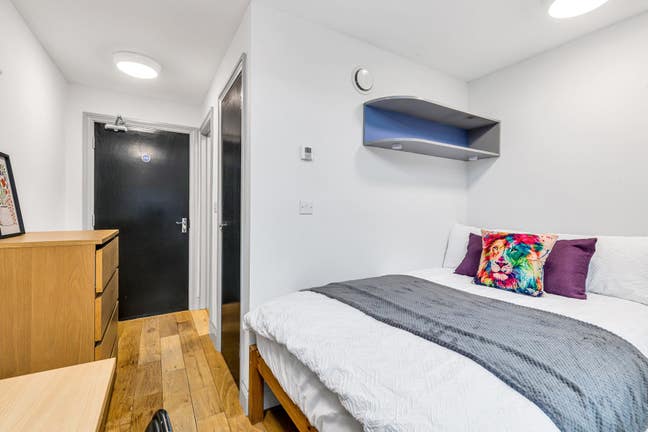 Modern En-Suite Rooms in Spacious Apartment! Main Photo