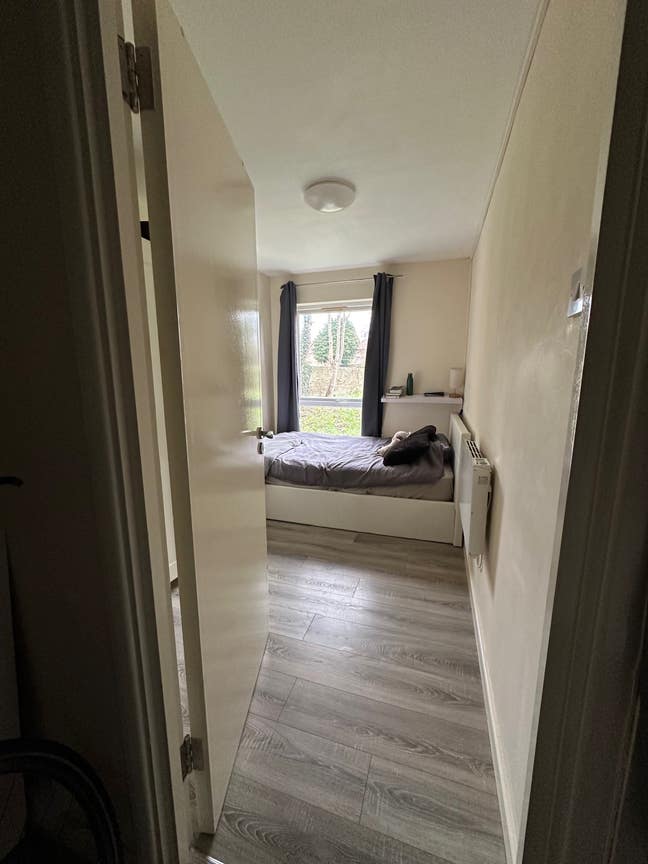 Cozy Double Room in Tottenham (Females only) Main Photo